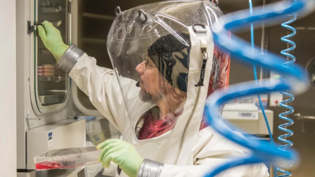 Yeni Ebola Virüsü Salgını Başladı: Şimdiye Kadar 65 Ölü, 246 Şüpheli Vaka Bildirildi