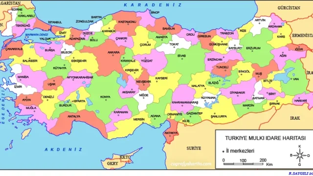 Türkiye’deki İlk Hantavirüs Vakası Ne Zaman, Hangi İlde Oldu? İşte İlk Görüldüğü Tarih ve İl!