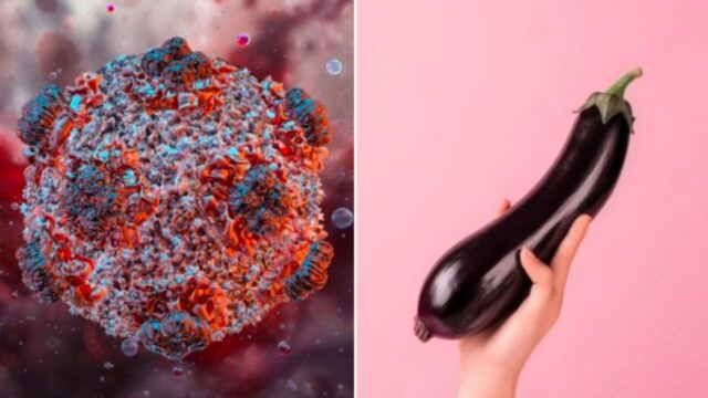 Hantavirüs Penis Boyutunu Küçültür mü? Sosyal Medyadaki Viral İddia Gerçek mi?