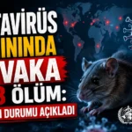 Dünya Sağlık Örgütü duyurdu: Hantavirus salgını resmen bitti
