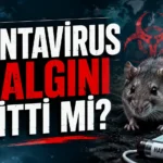 Cruise gemilerinde ölümcül salgın! Tatilcileri bekleyen büyük tehlike