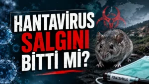 Cruise gemilerinde ölümcül salgın! Tatilcileri bekleyen büyük tehlike