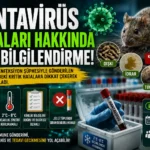Hantavirüs paniği: Uzmanlar uyarıyor, belirtiler başladığında geç kalmayın!
