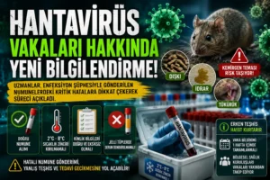 Hantavirüs paniği: Uzmanlar uyarıyor, belirtiler başladığında geç kalmayın!